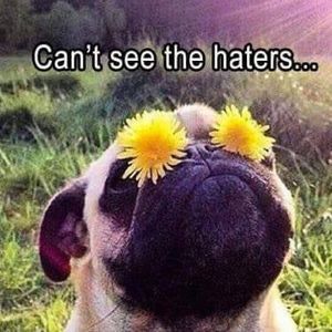 Meet your Posher, Kurt